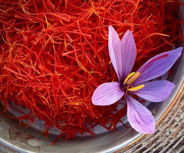Kashmiri Saffron