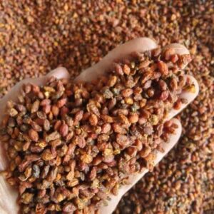 Fajar Traders Pure Sea Buckthorn Extract | Himalayan Origin | No Added Sugar |500g